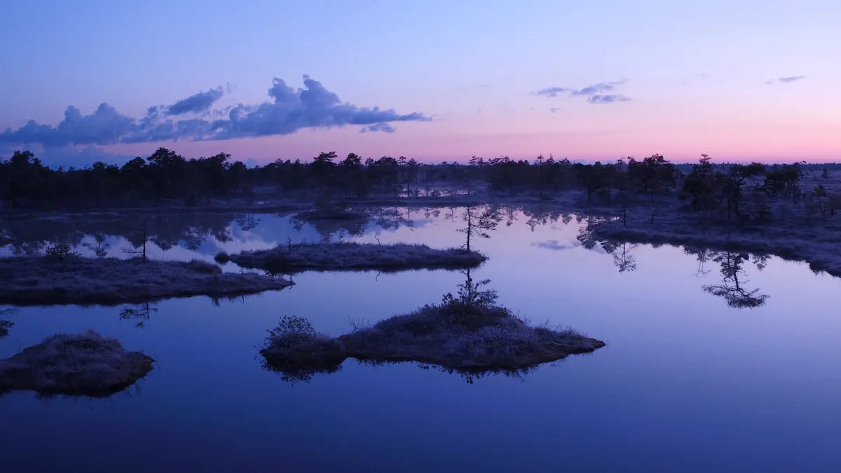 Tartu filmifond avas kevadise taotlusvooru filmiprojektidele