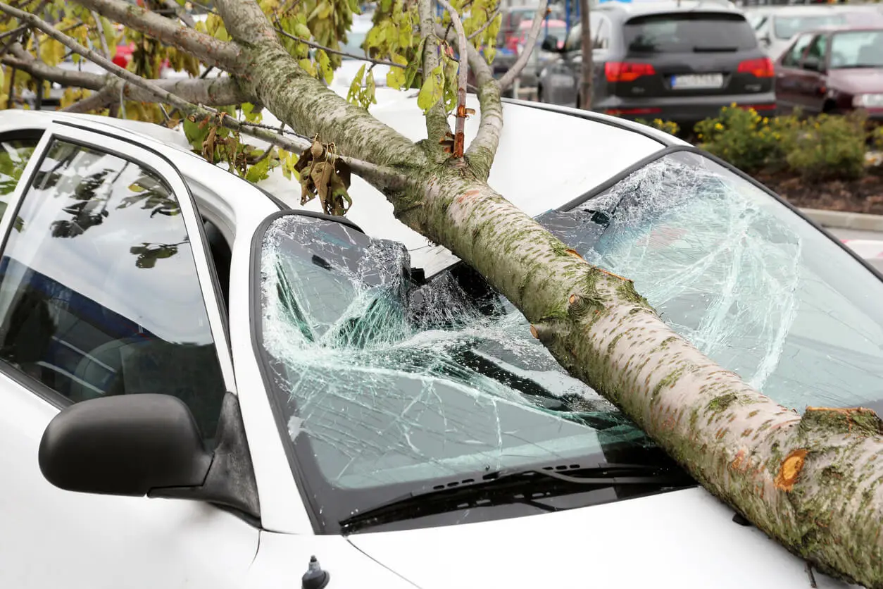 Mida teha, kui su auto saab tormi tõttu kahjustustada?